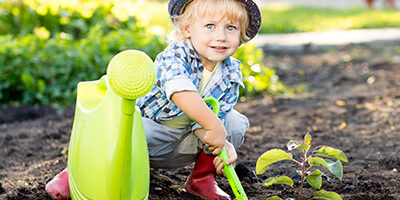 Rózsakert_blog_borito-földnapja